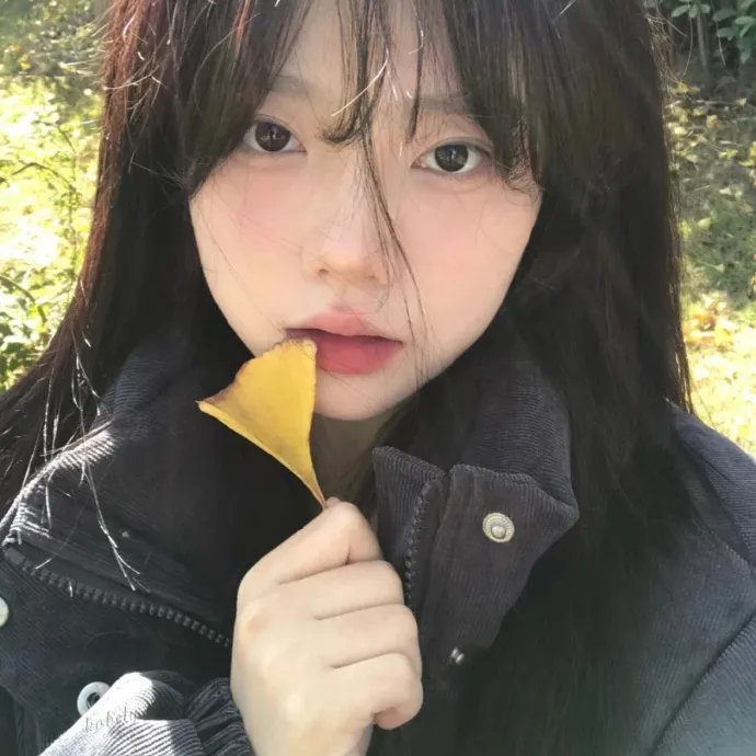 名校风暴第五季