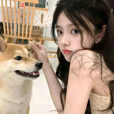 青春飞一般